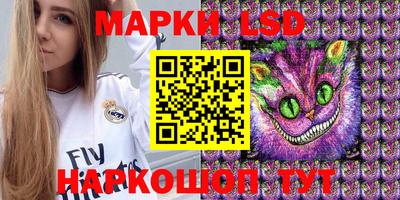гидра Новозыбков