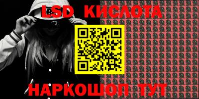 гидра Новозыбков