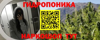 гидра Новозыбков