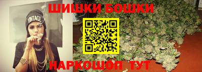 гидра Новозыбков