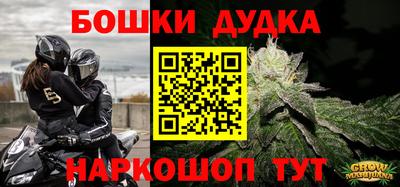 гидра Новозыбков