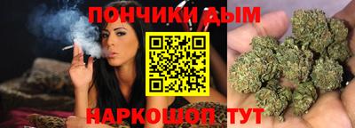 гидра Новозыбков
