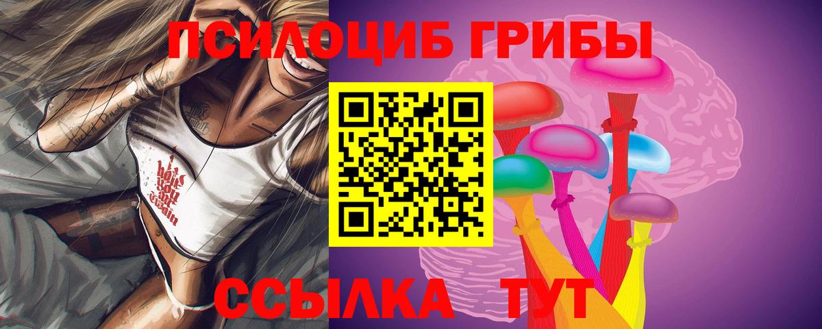 где продают   Псилоцибиновые грибы Psilocybine cubensis  Вход с VPN  Томск  Псилоцибиновые грибы Psilocybine cubensis 