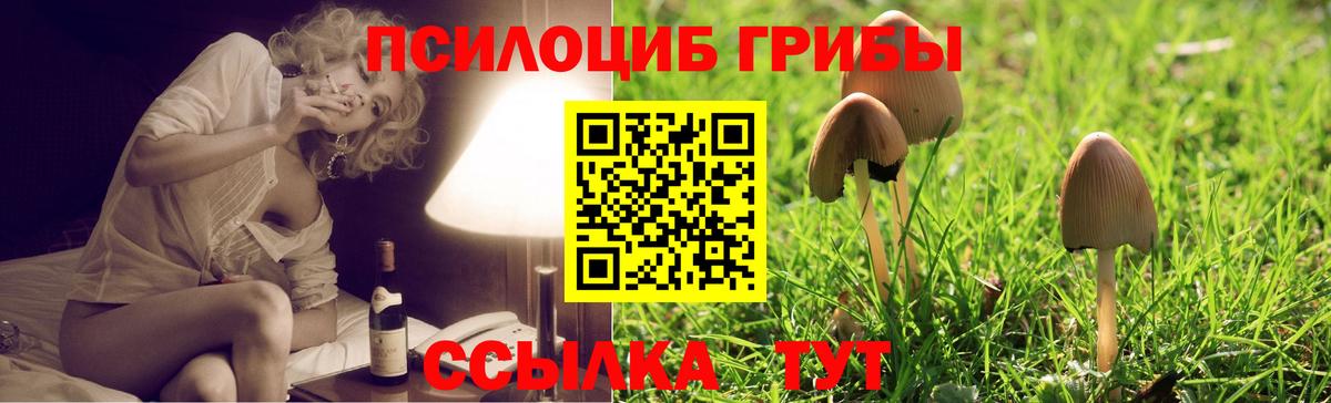 Галлюциногенные грибы Magic Shrooms Томск